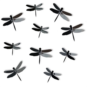 3D Gray Dragonflies Peel & Stick Mirrors