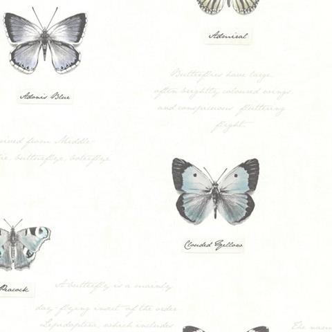 Admiral Butterflies and Script