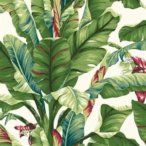 Banana Leaf Wallpaper
