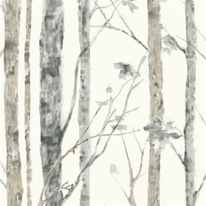 Birch Trees P &amp; S Wallpaper