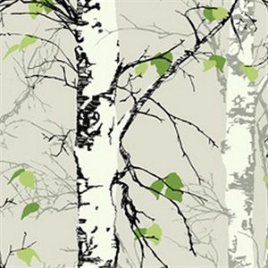 Birch Trees with Leaves