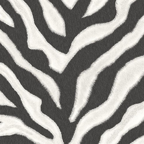 G67491 Black, White Zebra Print Wallpaper | Total Wallcovering