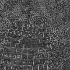Black Crocodile Skin Wallpaper