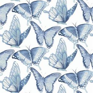 Janetta Blue Butterfly Wallpaper