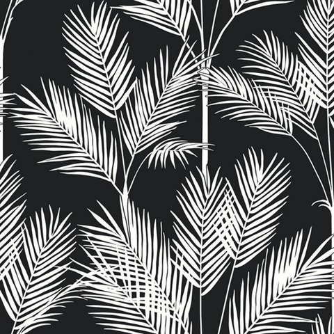 King Palm Silhouette Wallpaper