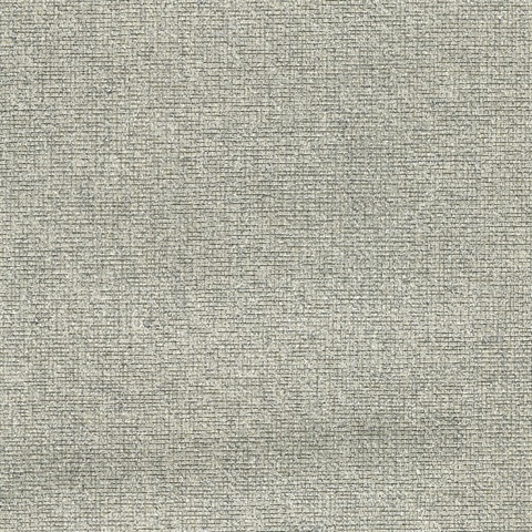 Leyte Silver Grasscloth Wallpaper