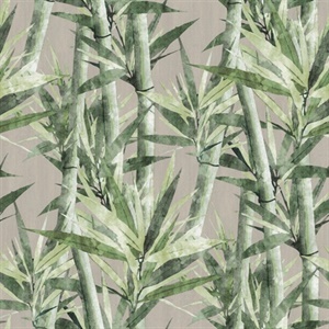 Lucky Bamboo P & S Wallpaper