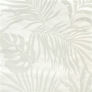 Paradise Palm Wallpaper