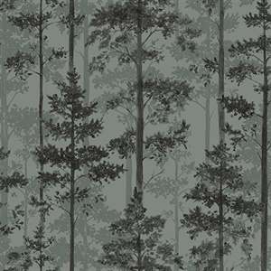 Pine Sage Silhouette Trees Wallpaper