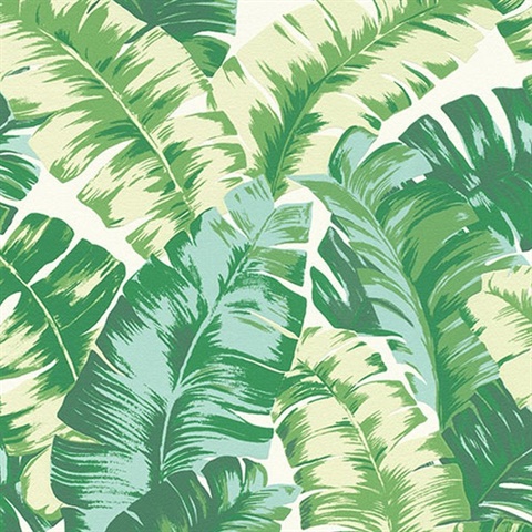 Pisang Green Palm Leaf Wallpaper