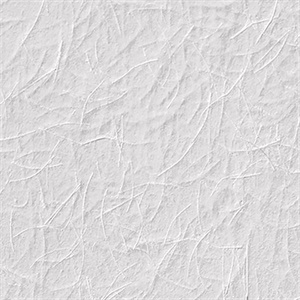 Wagtail Paintable Armadillo Wallpaper